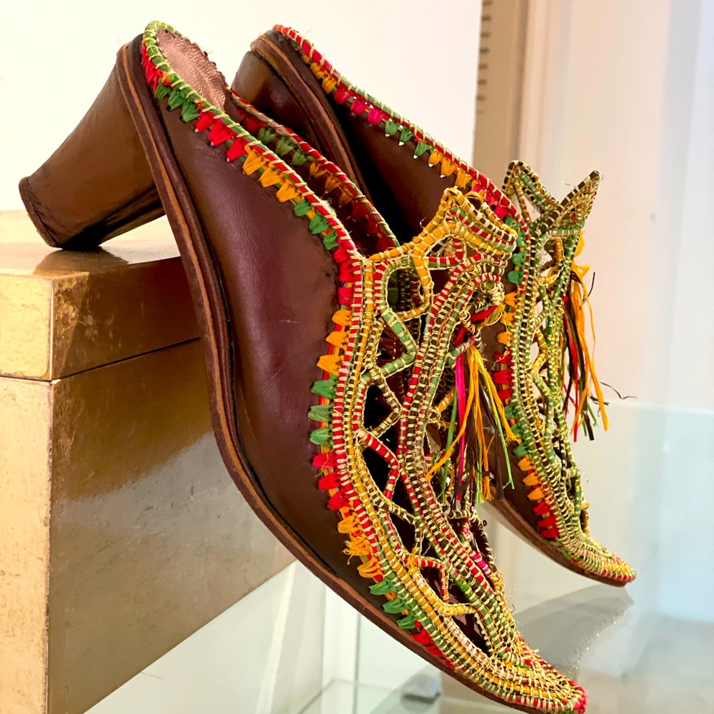 Beautiful elegant multicolored Mule